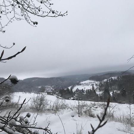 Bergchalet La Roubine Willingen Neerdar Eksteriør billede