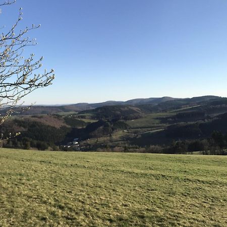 Bergchalet La Roubine Willingen Neerdar Eksteriør billede