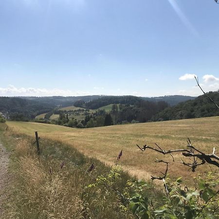 Bergchalet La Roubine Willingen Neerdar Eksteriør billede