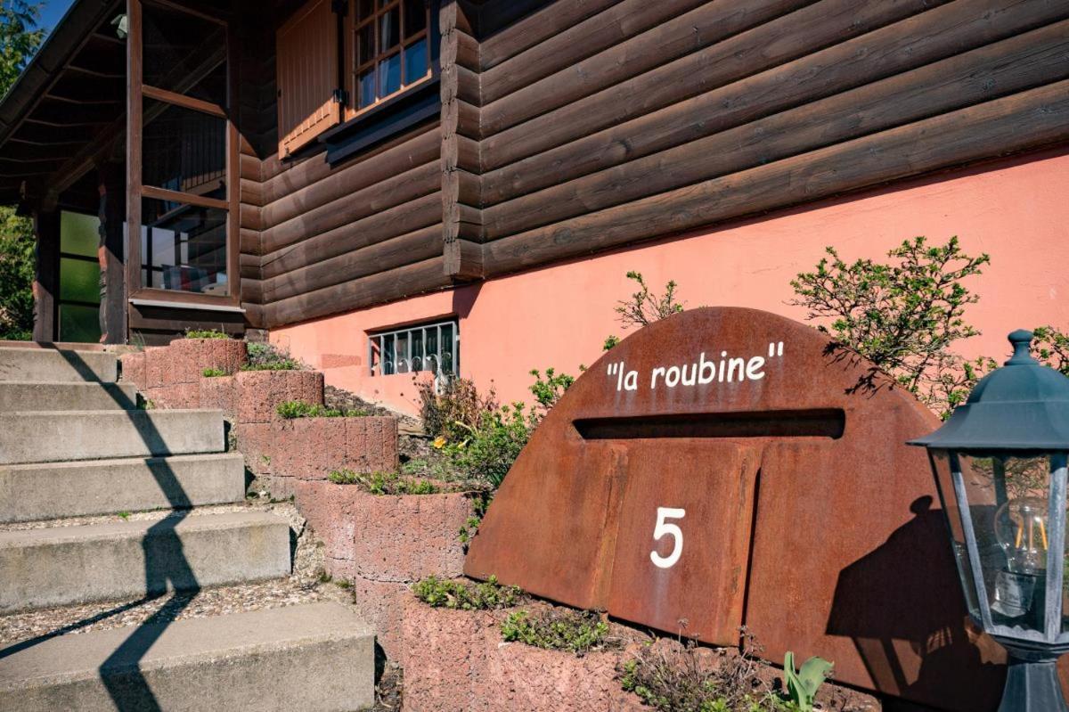 Bergchalet La Roubine Willingen Neerdar Eksteriør billede