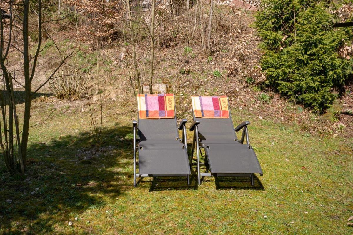 Bergchalet La Roubine Willingen Neerdar Eksteriør billede