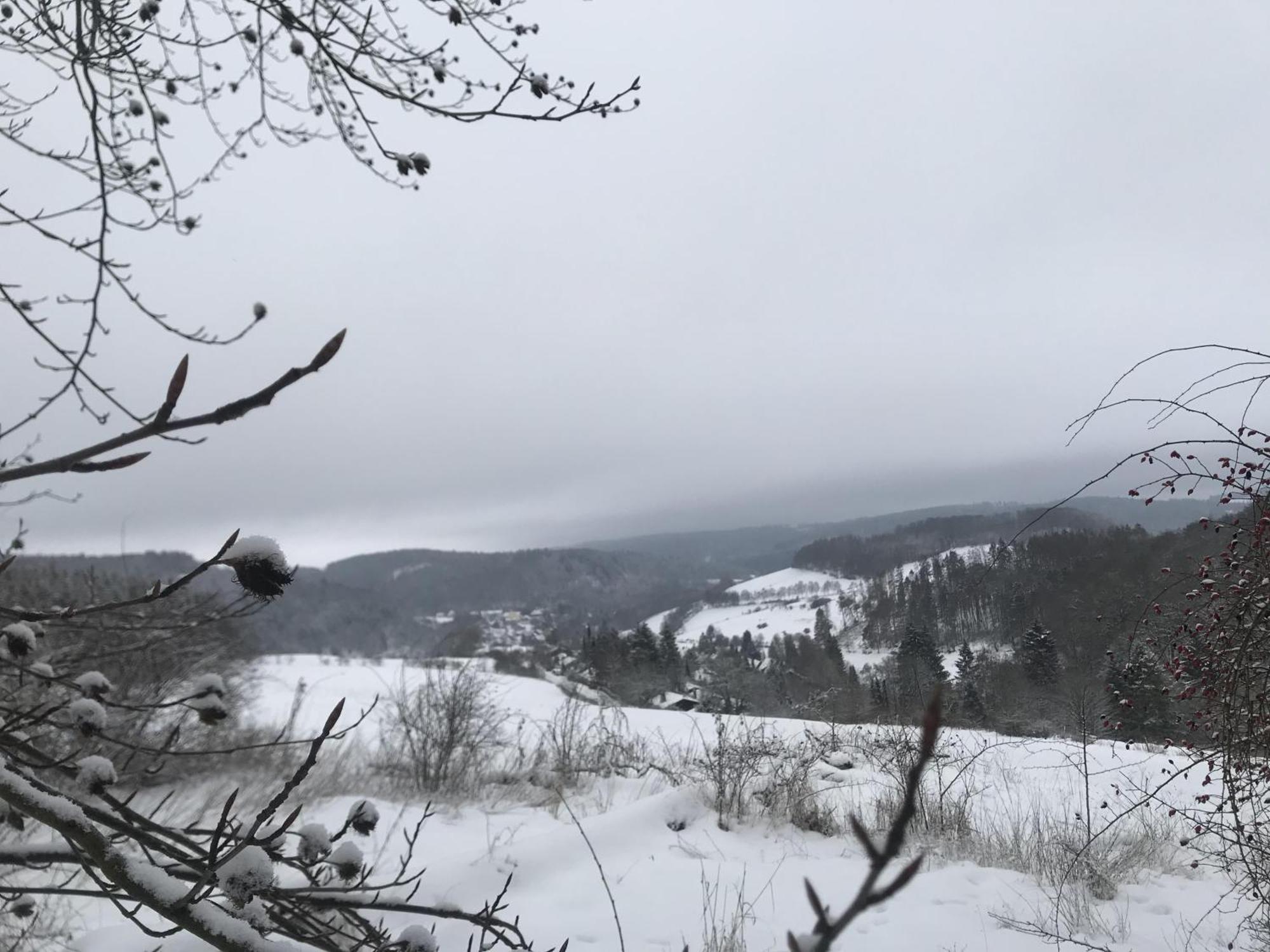 Bergchalet La Roubine Willingen Neerdar Eksteriør billede
