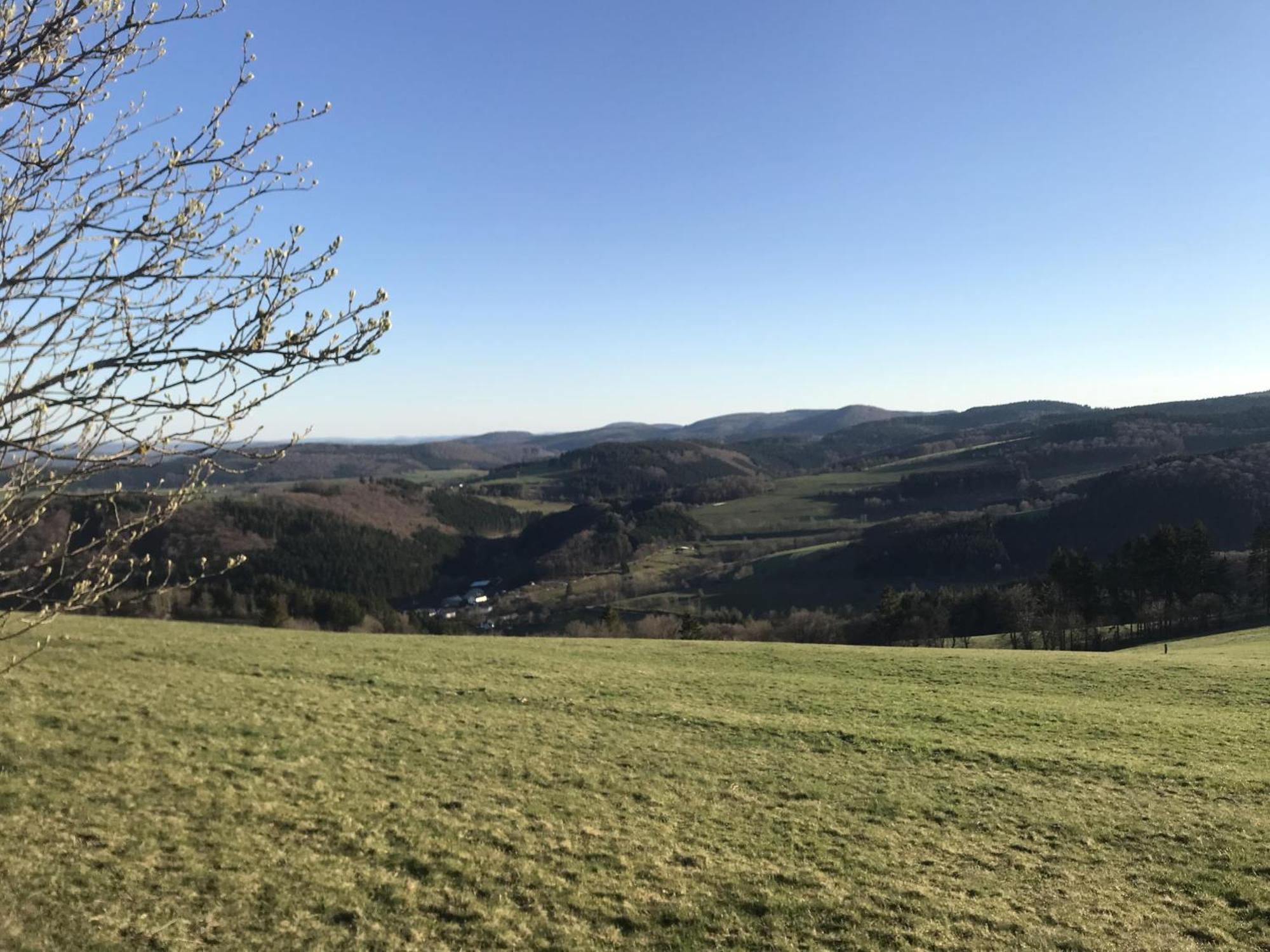 Bergchalet La Roubine Willingen Neerdar Eksteriør billede