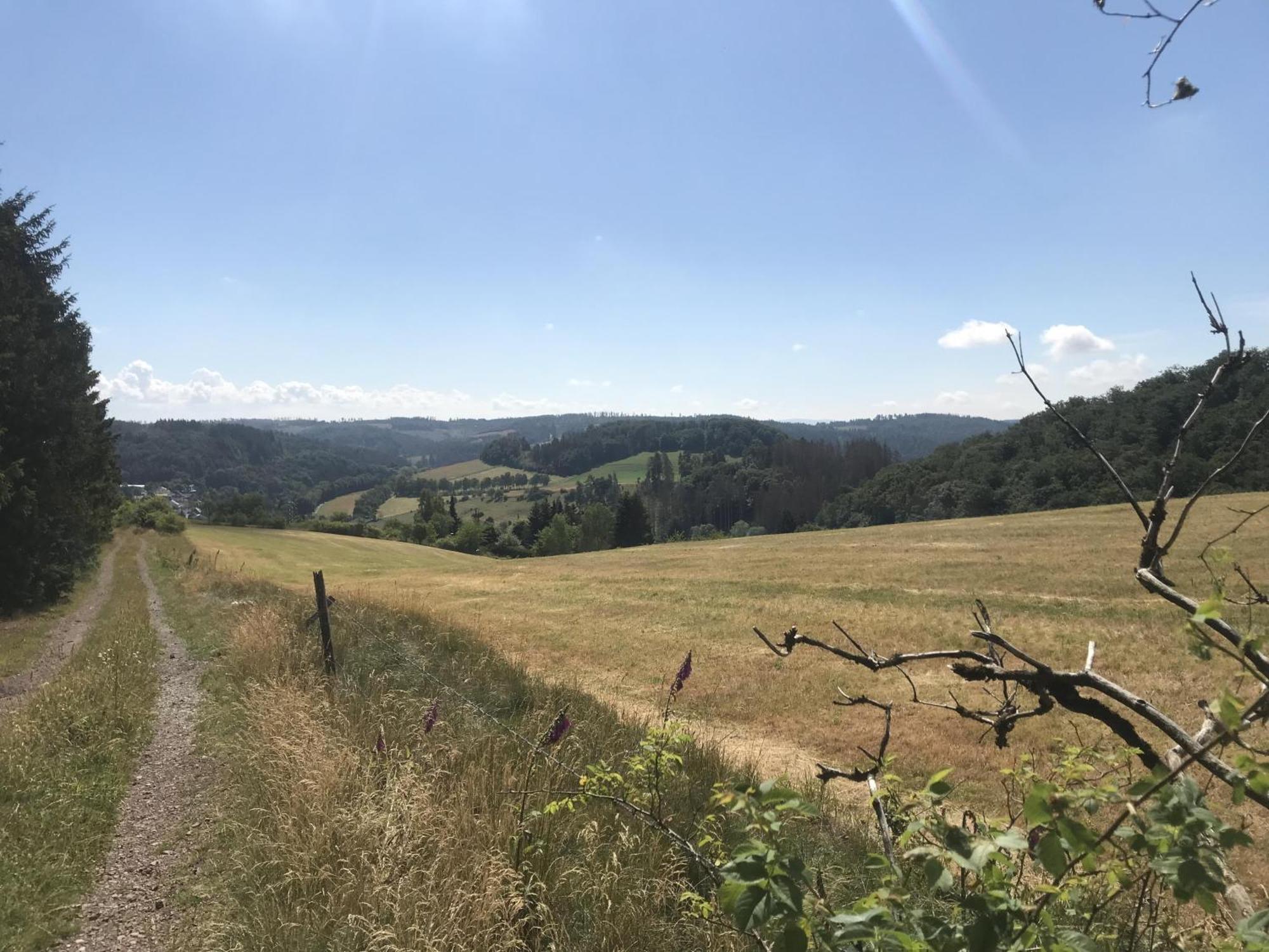 Bergchalet La Roubine Willingen Neerdar Eksteriør billede